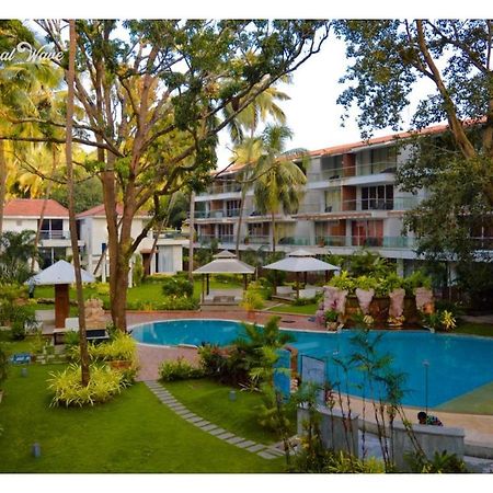 Aarju Luxurious Stay Calangute Exterior photo